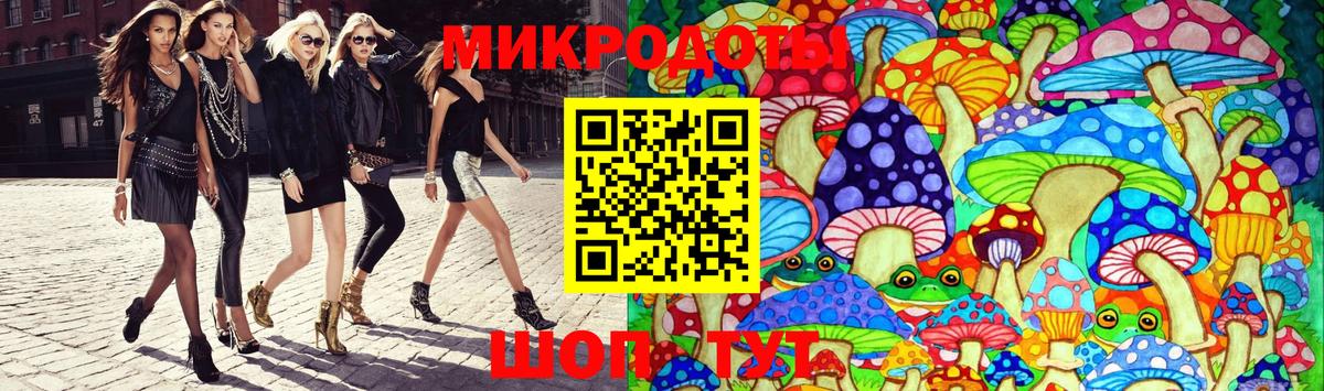 Псилоцибиновые грибы Psilocybine cubensis Ртищево