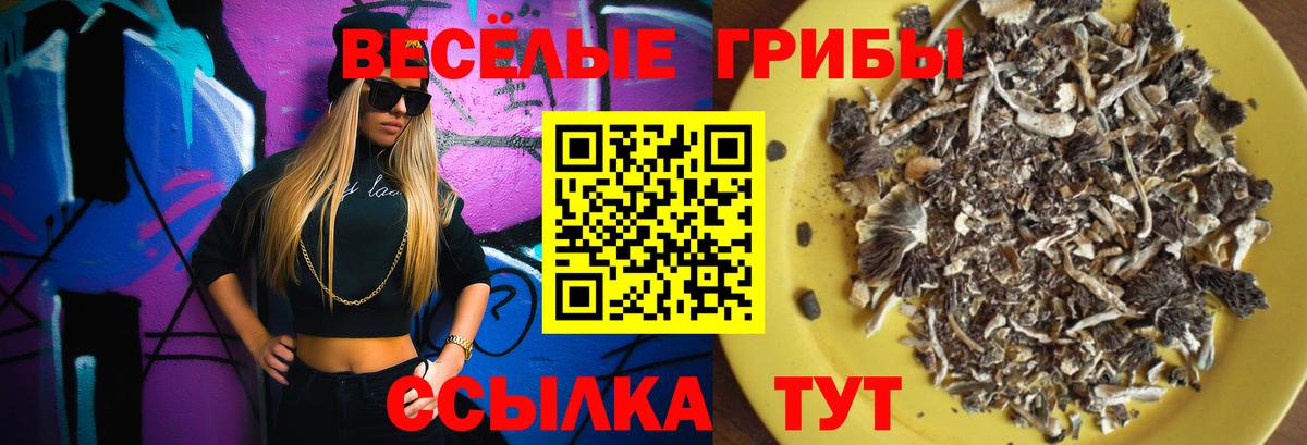 Ртищево  Галлюциногенные грибы ЛСД  Вход с VPN 